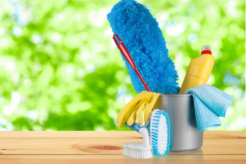 Professional one off cleaning service in Bromley for homes
