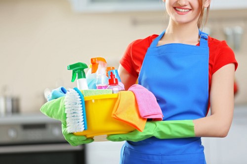 Deep cleaning tasks for a Bromley property