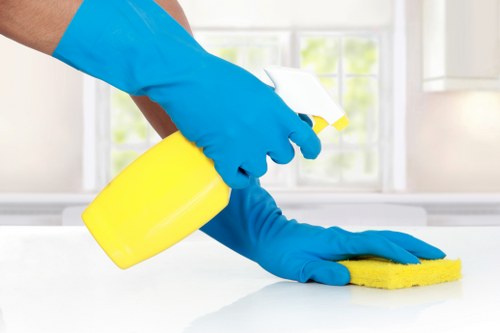 Professional cleaners in Bromley servicing a bright residential home