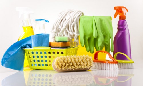 Seasonal cleaning support for Bromley homes and apartments