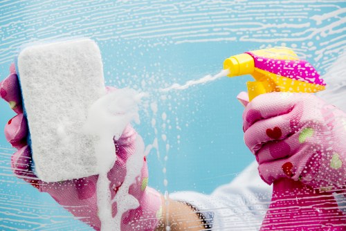 Professional carpet cleaning in Bromley in a family home