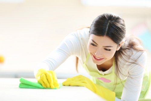 Professional cleaner completing a safe and insured cleaning service