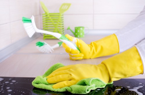 Reliable domestic cleaning service supporting Bromley homes