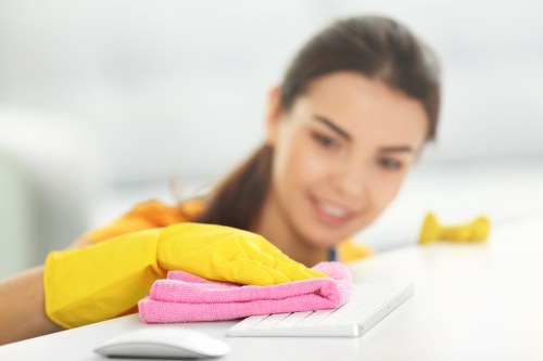 Domestic cleaning tasks for kitchens and bathrooms in Bromley