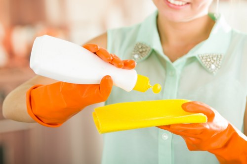 Window cleaning equipment used for Bromley homes