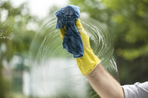Stain removal during carpet cleaning in Bromley