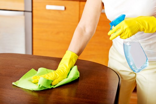 Local Bromley cleaner maintaining a spotless living space