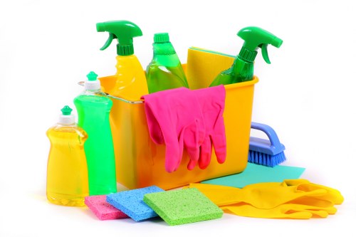 Thorough deep cleaning in Bromley property maintenance